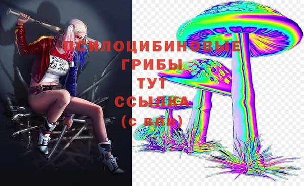 молекула духа Магас