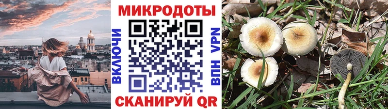 наркотики  Тотьма  Псилоцибиновые грибы GOLDEN TEACHER 