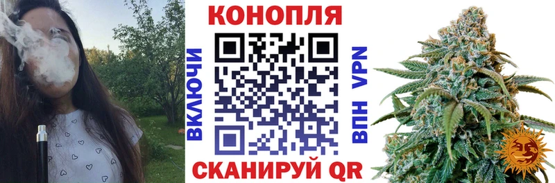 Конопля SATIVA & INDICA  сколько стоит  Тотьма 